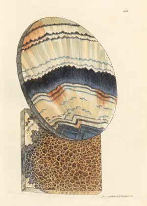 Fluor (Calx fluata) by James Sowerby, from British Mineralogy (1802–17)