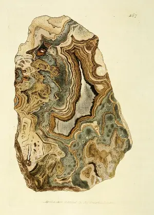 Oxide of Manganese (Manganesium oxygenizatum) by James Sowerby, from British Mineralogy (1802–17)