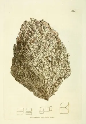 Sulphate of Barytes (Barytes sulphata) by James Sowerby, from British Mineralogy (1802–17)